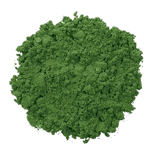 Chlorella