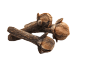 Clove