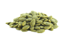 Pumpkin Seed
