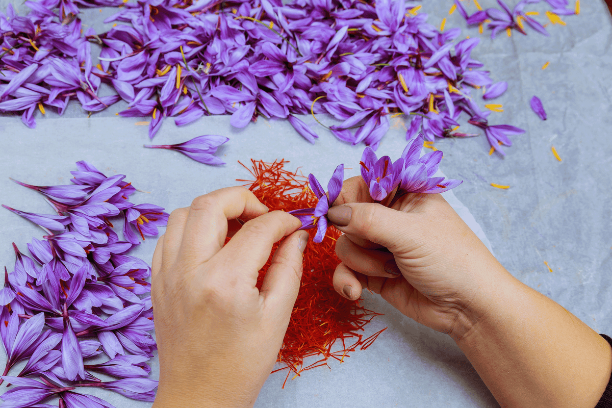 Natural Remedies vs. Traditional Medication for Childhood ADHD