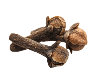 CLOVE BUD