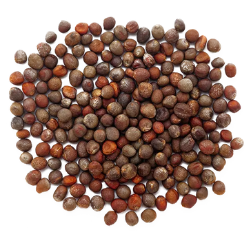 BROCCOLI SEED