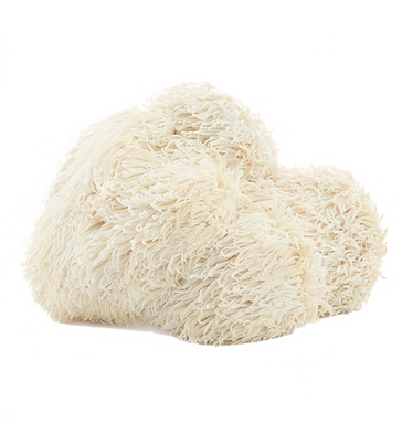 LION'S MANE