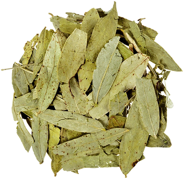 SENNA LEAF